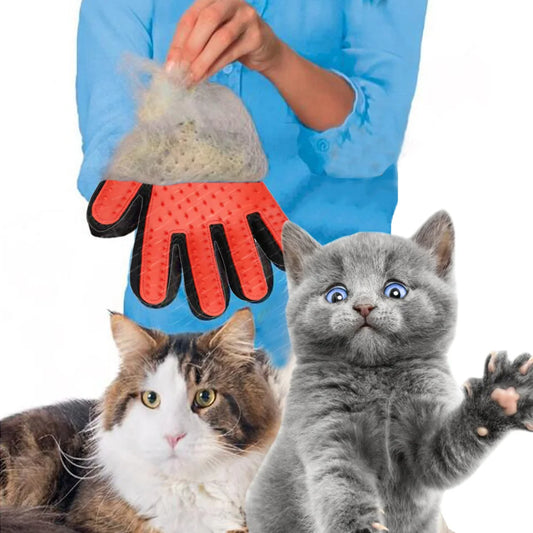Cat cleaning gloves